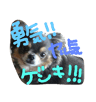 おゲンスタンプ（個別スタンプ：8）