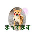 清水おこめ スタンプ2（個別スタンプ：24）