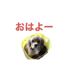ベルのスタンプ 002（個別スタンプ：1）