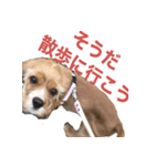 ベルのスタンプ 002（個別スタンプ：2）
