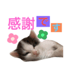ぽてちゃんの毎日使えるスタンプ(2)（個別スタンプ：4）