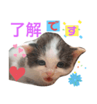 ぽてちゃんの毎日使えるスタンプ(2)（個別スタンプ：9）