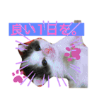 ぽてちゃんの毎日使えるスタンプ(2)（個別スタンプ：11）