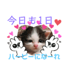 ぽてちゃんの毎日使えるスタンプ(2)（個別スタンプ：12）