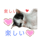 ぽてちゃんの毎日使えるスタンプ(2)（個別スタンプ：16）