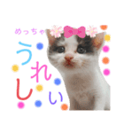 ぽてちゃんの毎日使えるスタンプ(2)（個別スタンプ：17）