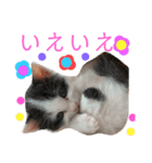 ぽてちゃんの毎日使えるスタンプ(2)（個別スタンプ：22）