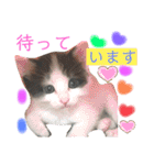 ぽてちゃんの毎日使えるスタンプ(2)（個別スタンプ：27）