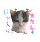 ぽてちゃんの毎日使えるスタンプ(2)（個別スタンプ：30）