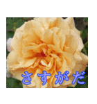薔薇と暮らす（個別スタンプ：3）
