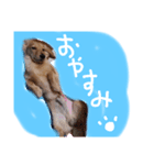 りりー＆ろい（個別スタンプ：2）