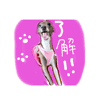 りりー＆ろい（個別スタンプ：3）