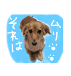 りりー＆ろい（個別スタンプ：4）