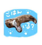 りりー＆ろい（個別スタンプ：8）