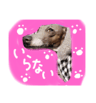 りりー＆ろい（個別スタンプ：9）