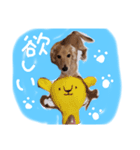 りりー＆ろい（個別スタンプ：12）