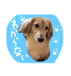 りりー＆ろい（個別スタンプ：14）