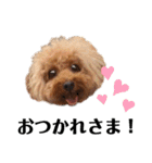 I ❤️ sandie（個別スタンプ：5）