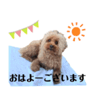 I ❤️ sandie（個別スタンプ：13）