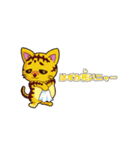 ネコちょんスタンプ（個別スタンプ：3）