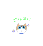 パパとママと猫のスタンプ（個別スタンプ：2）