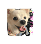エースくんの日常Life（個別スタンプ：4）