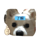 エースくんの日常Life（個別スタンプ：7）
