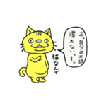 マジで猫（個別スタンプ：11）