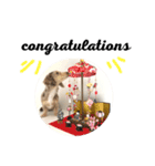 ココちゃんのスタンプできました（個別スタンプ：6）