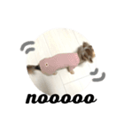 ココちゃんのスタンプできました（個別スタンプ：11）