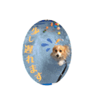 ジル(コーギー)でございます。(2)（個別スタンプ：6）