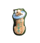 ジル(コーギー)でございます。(2)（個別スタンプ：9）