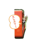 ジル(コーギー)でございます。(2)（個別スタンプ：13）