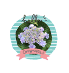 空と花と君と（個別スタンプ：6）