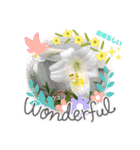 空と花と君と（個別スタンプ：8）