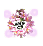 空と花と君と（個別スタンプ：10）