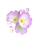 空と花と君と（個別スタンプ：13）