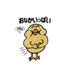 ピヨっちスタンプ（個別スタンプ：30）