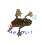 カエル3 桜（個別スタンプ：11）