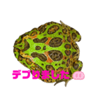 カエル3 桜（個別スタンプ：15）