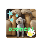 ジェミちゃん（個別スタンプ：6）