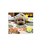 ジェミちゃん（個別スタンプ：8）