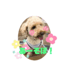 ジェミちゃん（個別スタンプ：9）