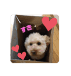 ジェミちゃん（個別スタンプ：14）