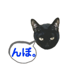 かーちゃんちのスタンプ（個別スタンプ：2）