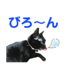 かーちゃんちのスタンプ（個別スタンプ：3）