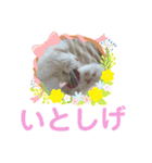 かーちゃんちのスタンプ（個別スタンプ：4）