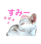 かーちゃんちのスタンプ（個別スタンプ：5）