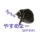 かーちゃんちのスタンプ（個別スタンプ：6）
