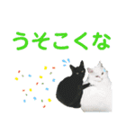 かーちゃんちのスタンプ（個別スタンプ：8）